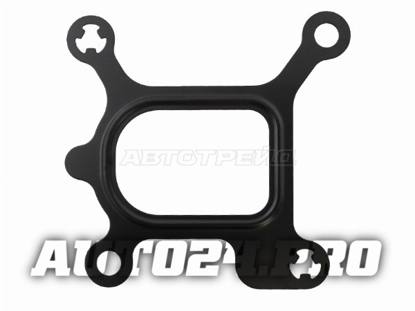 Прокладка термостата FORD C-MAX/FOCUS/MONDEO QQDB/CHBA/CHBB