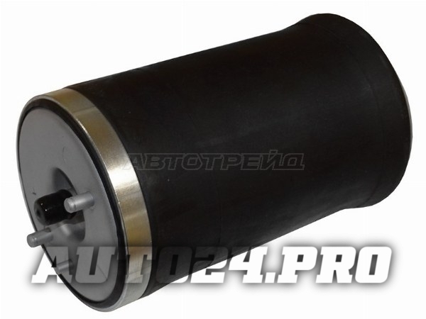 Пневмобаллон задний BMW X5 (E53) 00-06 LH