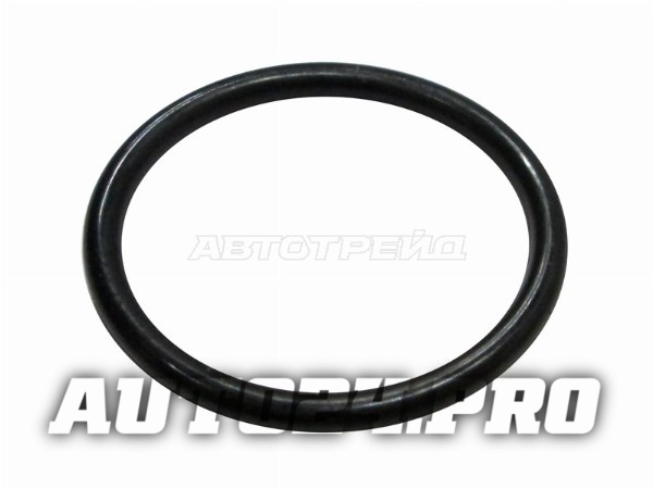 Кольцо уплотнительное  клапана PCV NISSAN