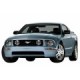 FORD Mustang (04-08)